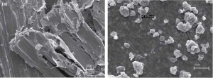 hf-2012-0116_fig3 (1)